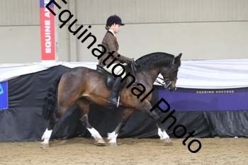 ALF-2737