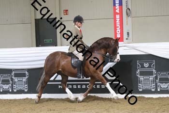 ALF-2743