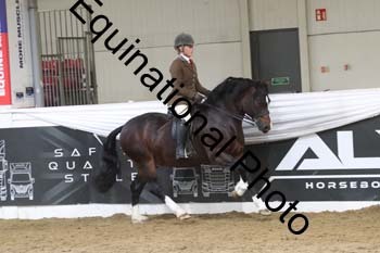 ALF-2751