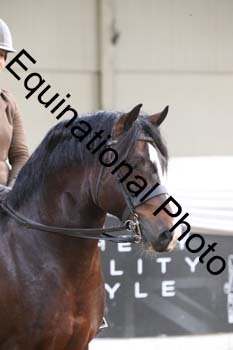 ALF-2777