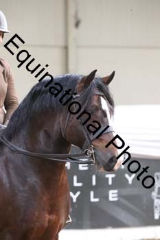 ALF-2778