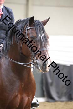 ALF-2783