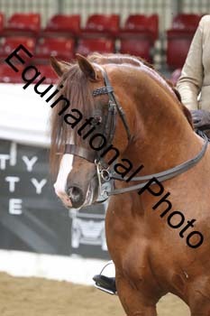 ALF-2792
