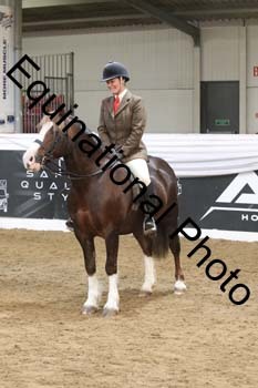 ALF-2793