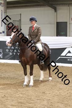 ALF-2794