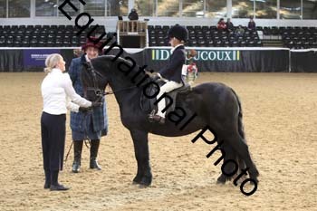 ALF-2858