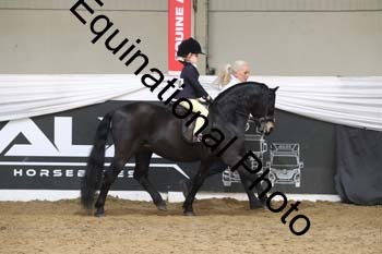 ALF-2869