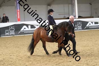 ALF-2878
