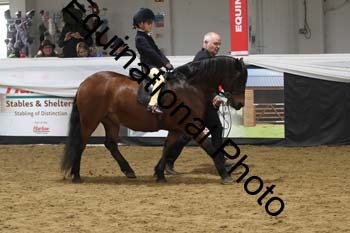 ALF-2883