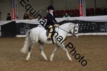 ALF-2884