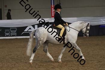 ALF-2888