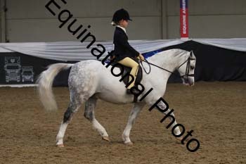 ALF-2889