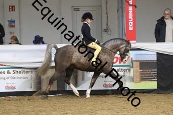 ALF-2893