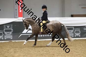 ALF-2894
