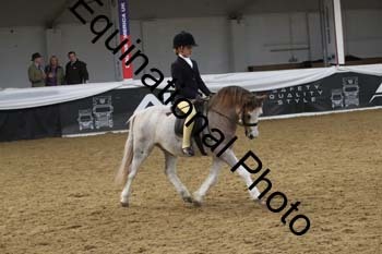 ALF-2897