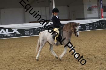 ALF-2898
