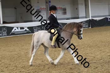 ALF-2899