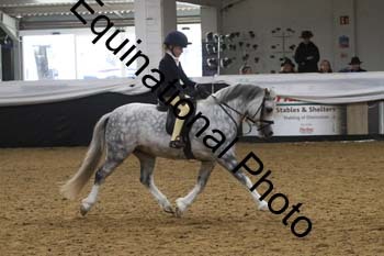 ALF-2905