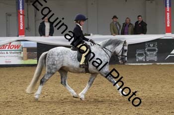 ALF-2907