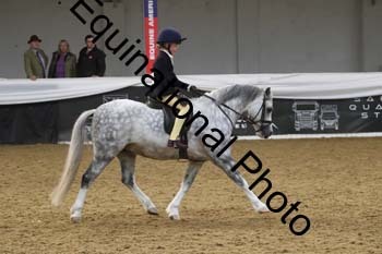 ALF-2908