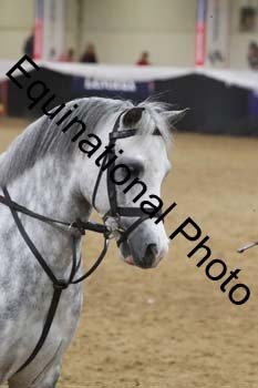 ALF-2913