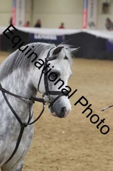 ALF-2914