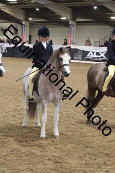 ALF-2915