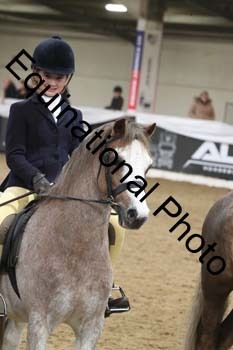 ALF-2917
