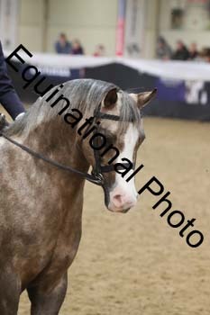 ALF-2923