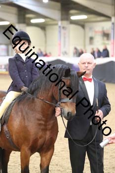 ALF-2927