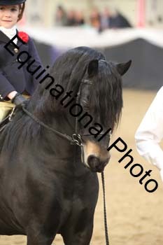 ALF-2942