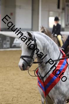 ALF-2956