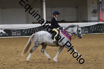 ALF-2976