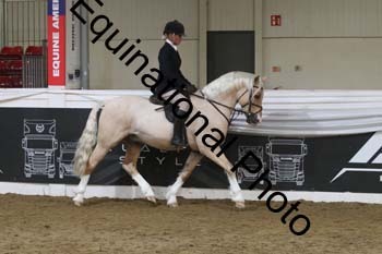 ALF-2981