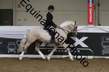 ALF-2982
