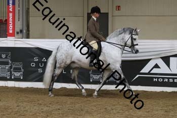 ALF-2988