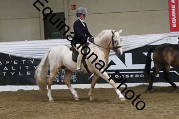 ALF-2997