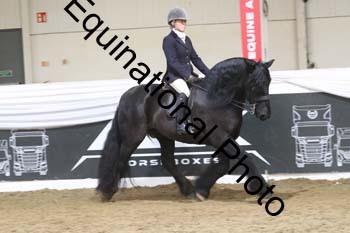 ALF-2999