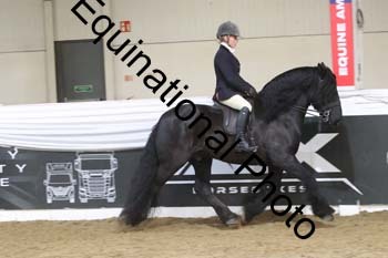 ALF-3019