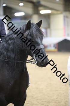 ALF-3047
