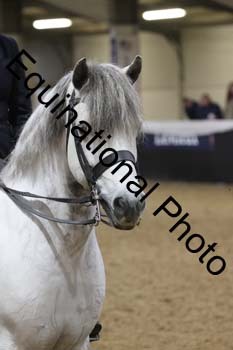 ALF-3051
