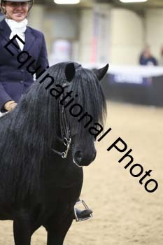 ALF-3054