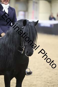 ALF-3055