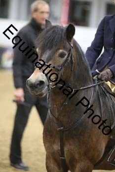 ALF-3064