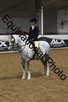 ALF-3071