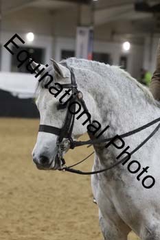 ALF-3088
