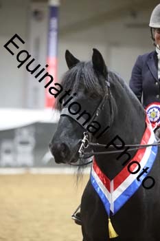 ALF-3107