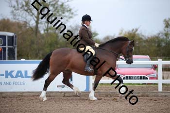LEE-1009