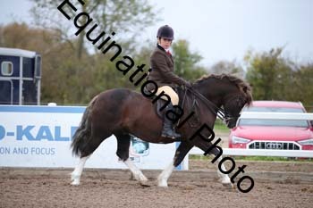 LEE-1022