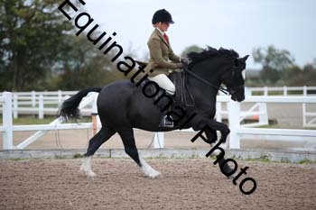 LEE-1038